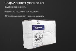 Одеяло Зефир заменитель лебяжьего пуха тик п/э Реноме