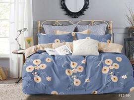 КПБ 2сп сатин в коробке (нав 50*70) Satin de Luxe SK Клео <812-SK>