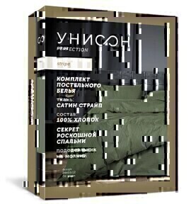 КПБ 2сп страйп-сатин Унисон <24403-21 Micro Chip>