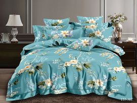 КПБ евро полисатин Art Color AC (нав. 50*70-2шт) Клео <AC-153>