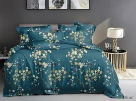 КПБ евро полисатин Art Color AC (нав. 50*70-2шт) Клео <AC-125>