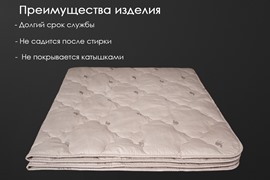 Одеяло верблюжья шерсть тик Реноме