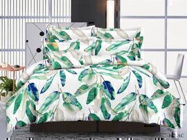 КПБ евро полисатин Art Color AC (нав. 50*70-2шт) Клео <AC-102>
